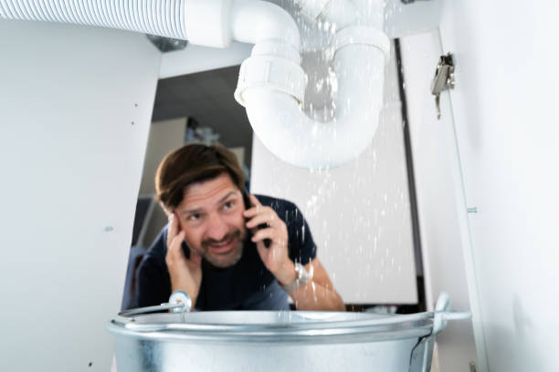  Buchanan, MI Plumbing Pros