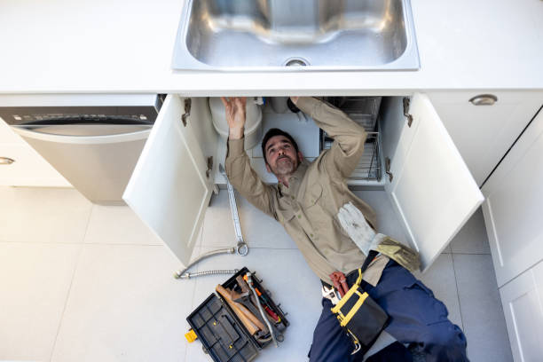 Best Same-Day Plumbing Service  in Buchanan, MI