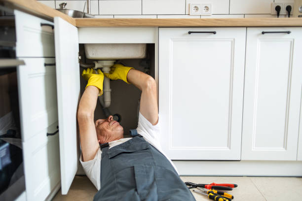 Best Plumbing Inspection Services  in Buchanan, MI
