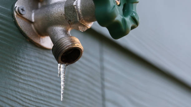 Best Local Plumber Services  in Buchanan, MI