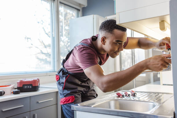 Best Plumbing Services Near Me  in Buchanan, MI