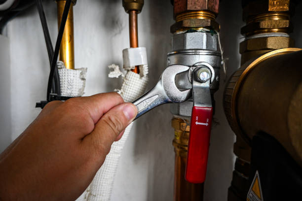 Best Clogged Drain Plumber  in Buchanan, MI